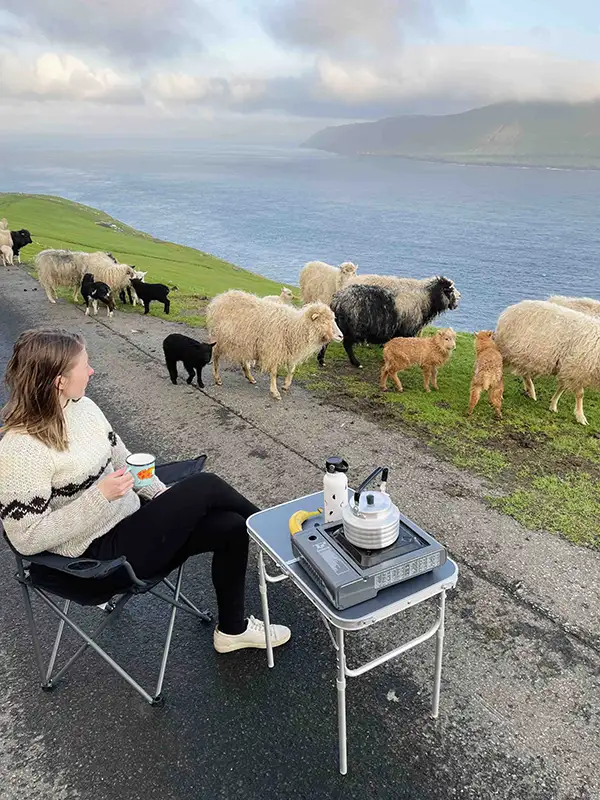 Camper traveler with sheep and ocean view in the Faroe Islands